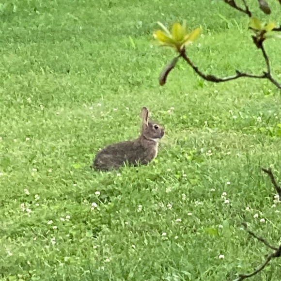 Meet your Posher, T - Picture 1 of 3